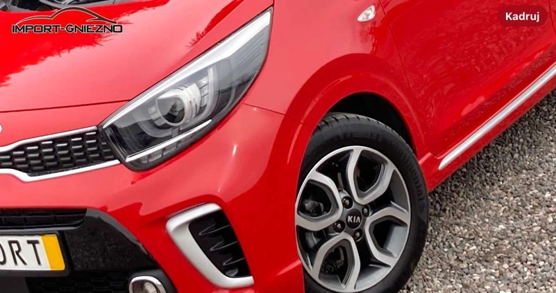 Kia Picanto cena 44900 przebieg: 31000, rok produkcji 2019 z Dobre Miasto małe 497